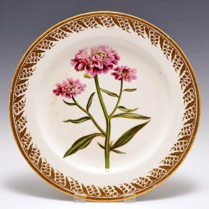 Derby Porcelain Botanical Plate