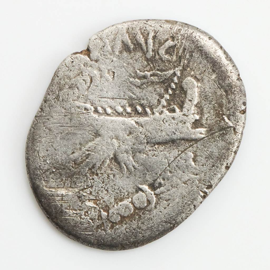 sa15534_0000.jpg