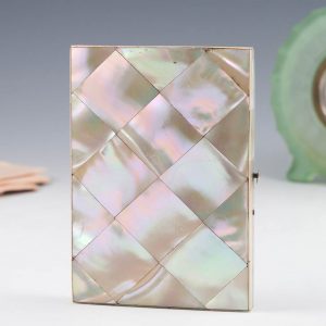 A Mother Of Pearl Card Case With Concertina Interior c1890