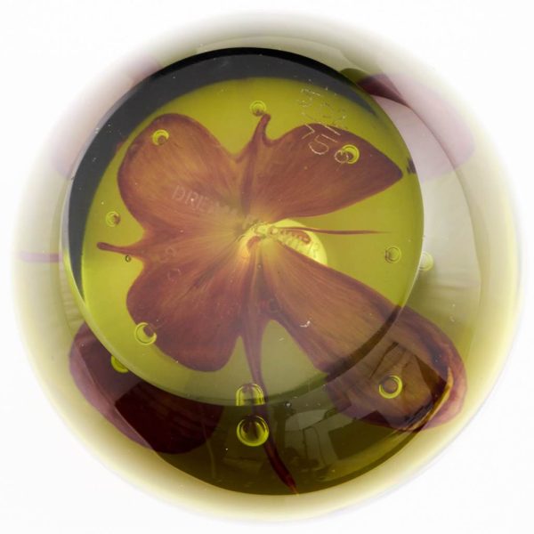 A Colin Terris Dream Flower Caithness Paperweight 1980