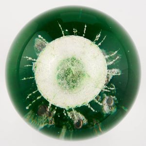 Selkirk Paperweight Peter Holmes Aquarius