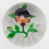 Paperweight