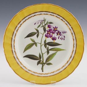 Derby Porcelain Botanical Plate Wood Night Shade c1800