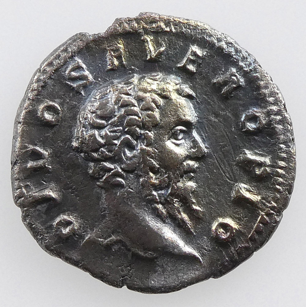 Divus Septimius Severus Denarius Under Caracalla AD 211