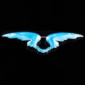 Boxed Child & Child Enamel Wing Brooch c1900