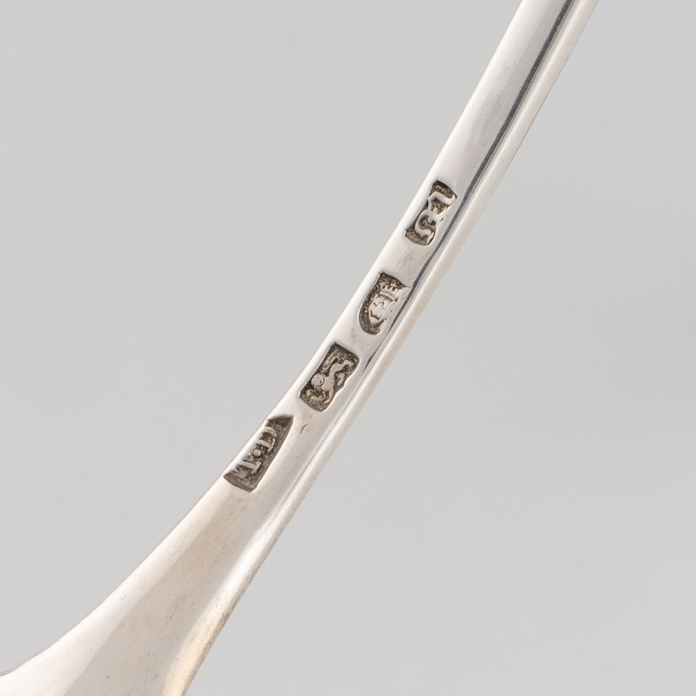 NSH01-6